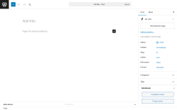 Page screenshot: Add Post &lsaquo; Test site &mdash; WordPress