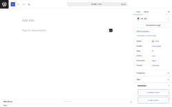 Page screenshot: Add Post &lsaquo; Test site &mdash; WordPress