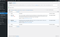 Page screenshot: Plugins &lsaquo; Test site &mdash; WordPress