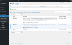 Page screenshot: Plugins &lsaquo; Test site &mdash; WordPress