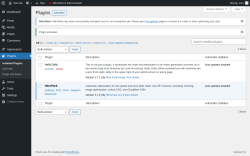 Page screenshot: Plugins &lsaquo; Test site &mdash; WordPress