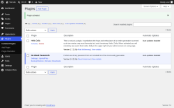 Page screenshot: Plugins &lsaquo; Test site &mdash; WordPress
