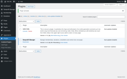 Page screenshot: Plugins &lsaquo; Test site &mdash; WordPress