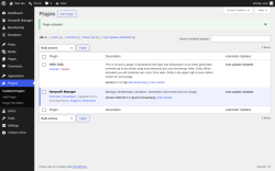 Page screenshot: Plugins &lsaquo; Test site &mdash; WordPress