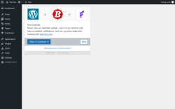 Page screenshot: &lsaquo; Test site &mdash; WordPress