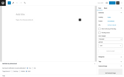 Page screenshot: Add New Post ‹ Test site — WordPress
