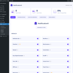 Page screenshot: NotificationX → Settings