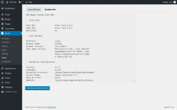 Page screenshot: Books &rarr; Tools &rarr; System Info