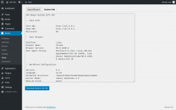 Page screenshot: Books &rarr; Tools &rarr; System Info