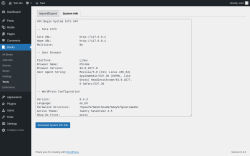 Page screenshot: Books &rarr; Tools &rarr; System Info