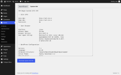 Page screenshot: Books &rarr; Tools &rarr; System Info