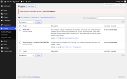 Page screenshot: Plugins &lsaquo; Test site &mdash; WordPress