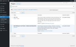 Page screenshot: Plugins ‹ Test site — WordPress