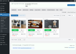 Page screenshot: NT Image WebP & AVIF Converter &rarr; Selected