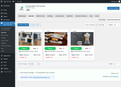 Page screenshot: NT Image WebP & AVIF Converter &rarr; Selected