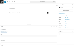 Page screenshot: Add New Post ‹ Test site — WordPress