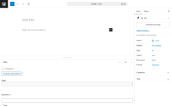 Page screenshot: Add Post ‹ Test site — WordPress