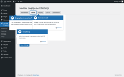 Page screenshot: Nuclear Engagement → Settings → Theme