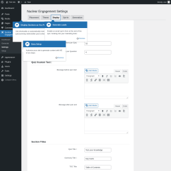 Page screenshot: Nuclear Engagement → Settings → Display