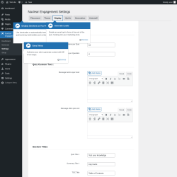 Page screenshot: Nuclear Engagement → Settings → Display