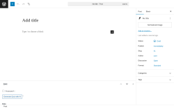 Page screenshot: Add Post ‹ Test site — WordPress