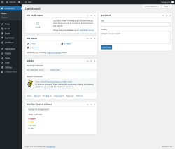 Page screenshot: Dashboard &lsaquo; Test site &mdash; WordPress