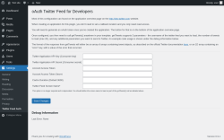 Page screenshot: Settings &rarr; Twitter Feed Auth