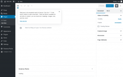 Page screenshot: Add New Page ‹ Test site — WordPress