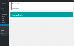 Page screenshot: Octavius Rocks → Top posts