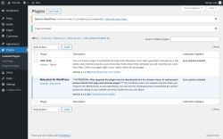 Page screenshot: Plugins ‹ Test site — WordPress
