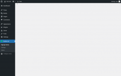 Page screenshot: MailerLite