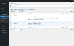 Page screenshot: Plugins &lsaquo; Test site &mdash; WordPress