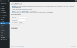 Page screenshot: Settings &rarr; StatCounter