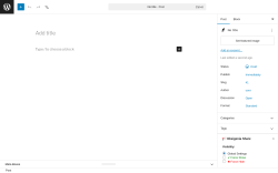 Page screenshot: Add Post &lsaquo; Test site &mdash; WordPress