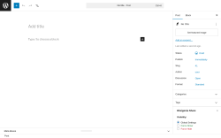 Page screenshot: Add Post &lsaquo; Test site &mdash; WordPress
