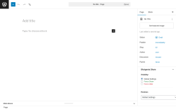 Page screenshot: Add Page &lsaquo; Test site &mdash; WordPress