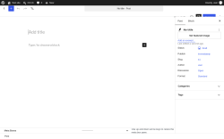 Page screenshot: Add Post &lsaquo; Test site &mdash; WordPress