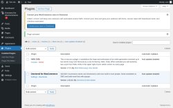 Page screenshot: Plugins ‹ Test site — WordPress