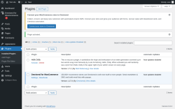 Page screenshot: Plugins ‹ Test site — WordPress
