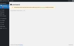 Page screenshot: Omnisend for WooCommerce 