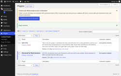 Page screenshot: Plugins &lsaquo; Test site &mdash; WordPress