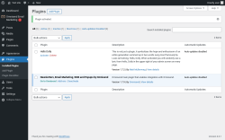 Page screenshot: Plugins &lsaquo; Test site &mdash; WordPress