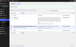 Page screenshot: Plugins &lsaquo; Test site &mdash; WordPress