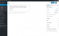 Page screenshot: Add New Post &lsaquo; Test site &mdash; WordPress