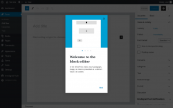 Page screenshot: Add New Post &lsaquo; Test site &mdash; WordPress