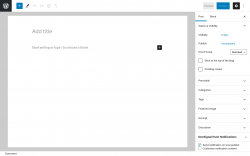 Page screenshot: Add New Post &lsaquo; Test site &mdash; WordPress