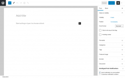 Page screenshot: Add New Post &lsaquo; Test site &mdash; WordPress