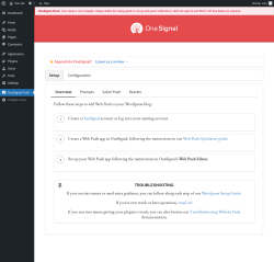 Page screenshot: OneSignal Push