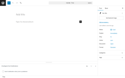 Page screenshot: Add Post ‹ Test site — WordPress