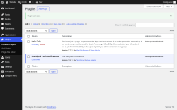 Page screenshot: Plugins &lsaquo; Test site &mdash; WordPress